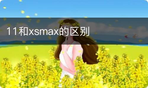 11和xsmax的区别