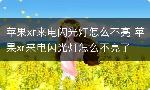 苹果xr来电闪光灯怎么不亮 苹果xr来电闪光灯怎么不亮了