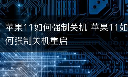 苹果11如何强制关机 苹果11如何强制关机重启