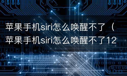 苹果手机siri怎么唤醒不了（苹果手机siri怎么唤醒不了12）