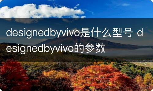 designedbyvivo是什么型号 designedbyvivo的参数