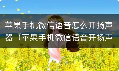 苹果手机微信语音怎么开扬声器（苹果手机微信语音开扬声器对方听不到声音）