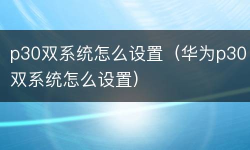 p30双系统怎么设置（华为p30双系统怎么设置）
