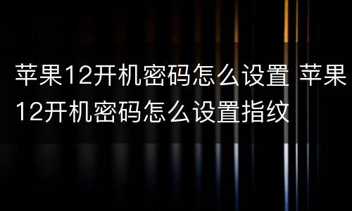 苹果12开机密码怎么设置 苹果12开机密码怎么设置指纹