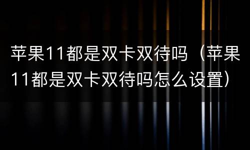 苹果11都是双卡双待吗（苹果11都是双卡双待吗怎么设置）
