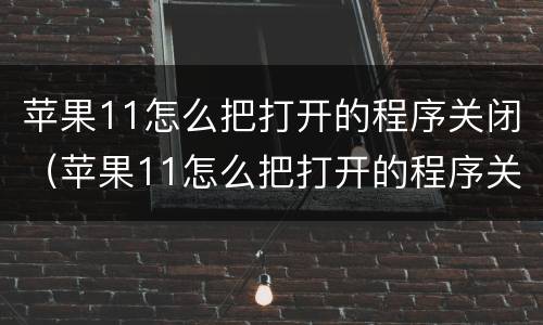 苹果11怎么把打开的程序关闭（苹果11怎么把打开的程序关闭掉）
