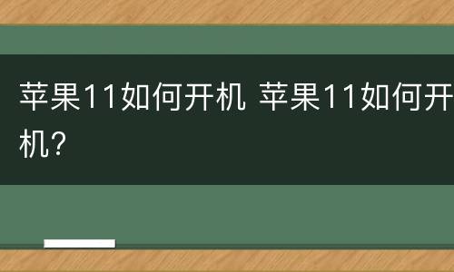 苹果11如何开机 苹果11如何开机?