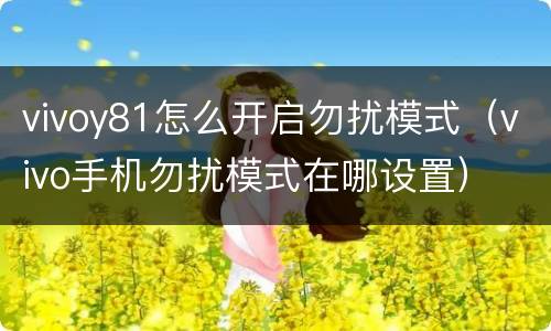vivoy81怎么开启勿扰模式（vivo手机勿扰模式在哪设置）