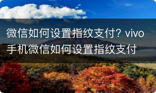 微信如何设置指纹支付? vivo手机微信如何设置指纹支付