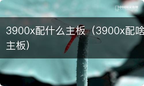 3900x配什么主板（3900x配啥主板）
