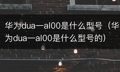 华为dua一al00是什么型号（华为dua一al00是什么型号的）