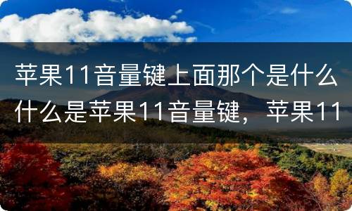 苹果11音量键上面那个是什么什么是苹果11音量键，苹果11音量键上面的键