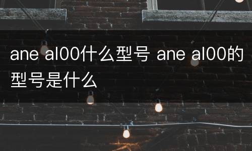 ane al00什么型号 ane al00的型号是什么