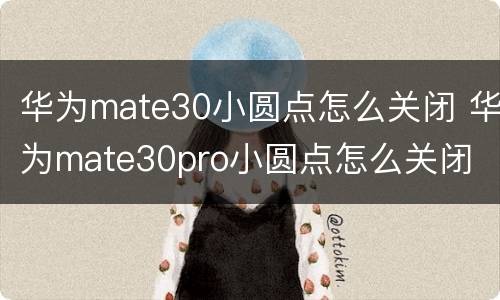 华为mate30小圆点怎么关闭 华为mate30pro小圆点怎么关闭