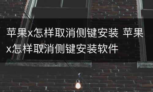 苹果x怎样取消侧键安装 苹果x怎样取消侧键安装软件