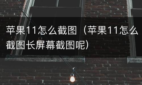 苹果11怎么截图（苹果11怎么截图长屏幕截图呢）
