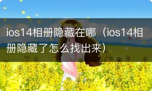 ios14相册隐藏在哪（ios14相册隐藏了怎么找出来）