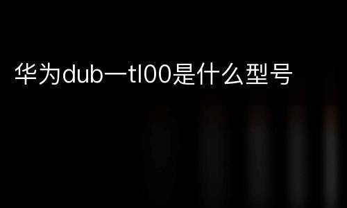 华为dub一tl00是什么型号