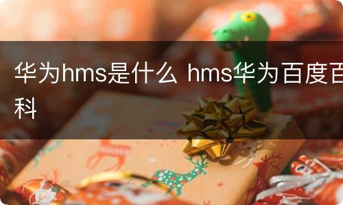 华为hms是什么 hms华为百度百科