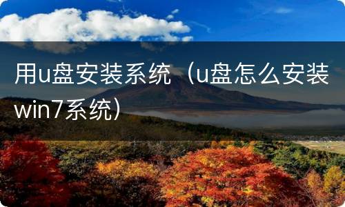 用u盘安装系统（u盘怎么安装win7系统）