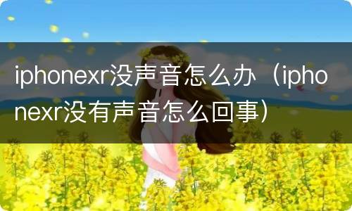iphonexr没声音怎么办（iphonexr没有声音怎么回事）