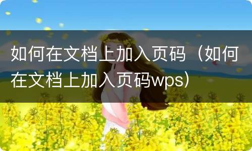 如何在文档上加入页码（如何在文档上加入页码wps）