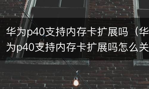 华为p40支持内存卡扩展吗（华为p40支持内存卡扩展吗怎么关闭）