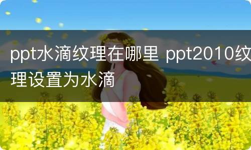 ppt水滴纹理在哪里 ppt2010纹理设置为水滴
