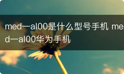 med一al00是什么型号手机 med一al00华为手机