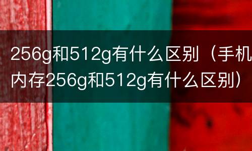 256g和512g有什么区别（手机内存256g和512g有什么区别）