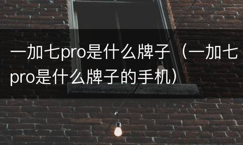 一加七pro是什么牌子（一加七pro是什么牌子的手机）