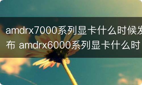 amdrx7000系列显卡什么时候发布 amdrx6000系列显卡什么时候出