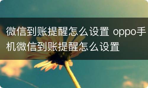 微信到账提醒怎么设置 oppo手机微信到账提醒怎么设置