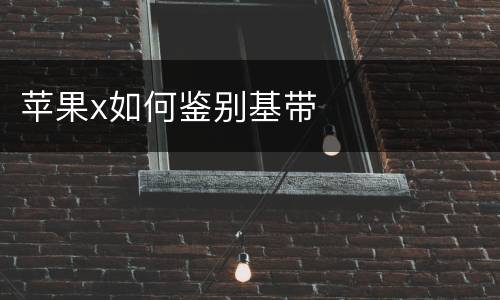 苹果x如何鉴别基带