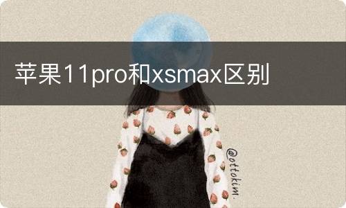 苹果11pro和xsmax区别