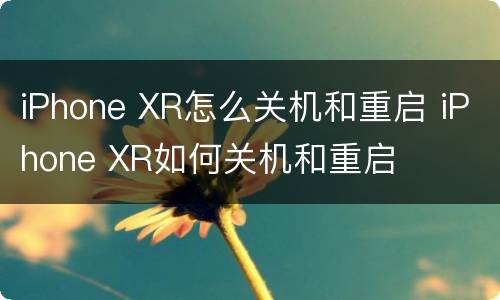 iPhone XR怎么关机和重启 iPhone XR如何关机和重启