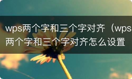wps两个字和三个字对齐（wps两个字和三个字对齐怎么设置）