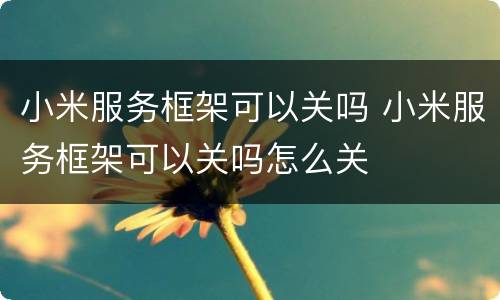 小米服务框架可以关吗 小米服务框架可以关吗怎么关