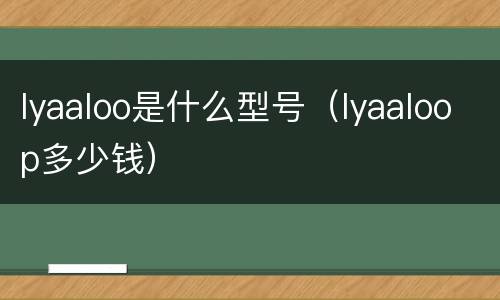 lyaaloo是什么型号（lyaaloop多少钱）