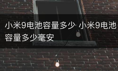 小米9电池容量多少 小米9电池容量多少毫安