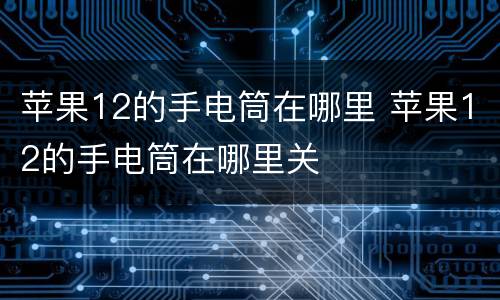 苹果12的手电筒在哪里 苹果12的手电筒在哪里关