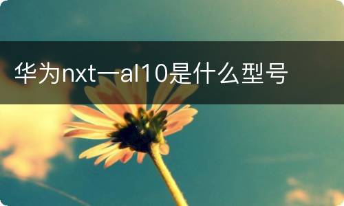 华为nxt一al10是什么型号