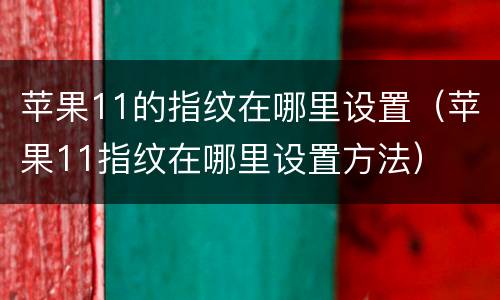 苹果11的指纹在哪里设置（苹果11指纹在哪里设置方法）