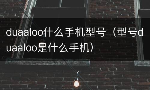duaaloo什么手机型号（型号duaaloo是什么手机）