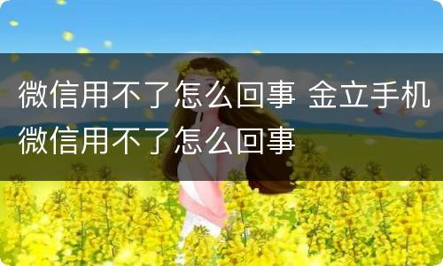 微信用不了怎么回事 金立手机微信用不了怎么回事