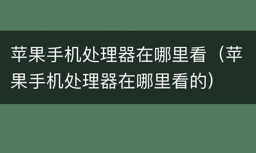 苹果手机处理器在哪里看（苹果手机处理器在哪里看的）