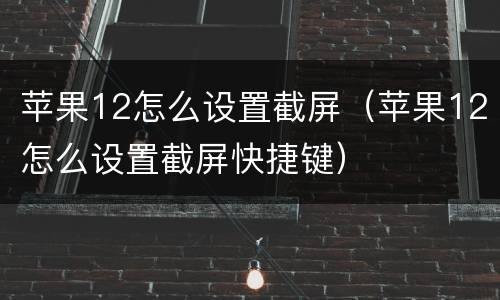 苹果12怎么设置截屏（苹果12怎么设置截屏快捷键）
