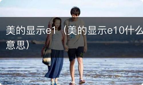 美的显示e1（美的显示e10什么意思）