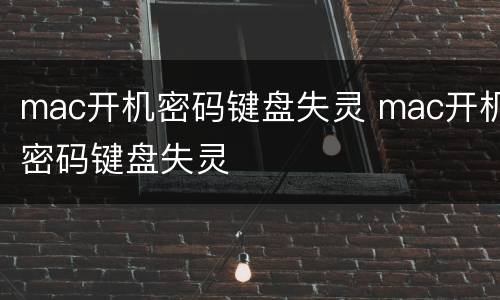 mac开机密码键盘失灵 mac开机密码键盘失灵
