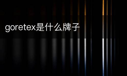 goretex是什么牌子